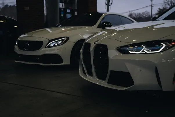 Cocoa Casino Android/iOS Forrit